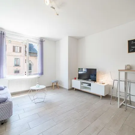 Apartment L'opalin Private Annecy